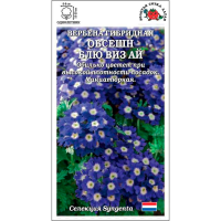Вербена Обсешн Блю Виз Ай