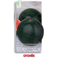 Арбуз Огонек (ЦВ) 15шт