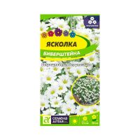 02Се2863 Цветы Ясколка Биберштейна