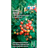 томат Непас 11 Непасынкующийся Комнатный