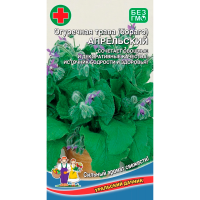 Огуречная трава (бораго) Апрельский