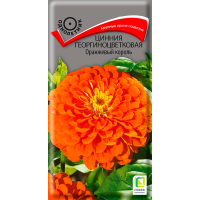 Цинния георгиноцветковая Оранжевый король (ЦВ) (1) 0,4гр