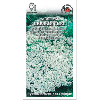 Алиссум Первый снег белый