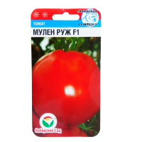 v8_24C0_34f13 v8_24C0_34f13