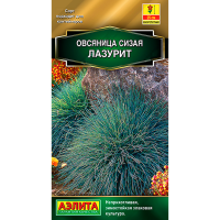 Овсяница Лазурит сизая