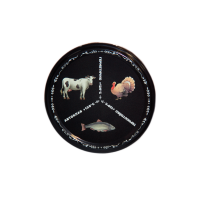 v8_24C0_329cd