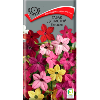 Табак Душистый Сенсация (ЦВ) (1) 0,25гр