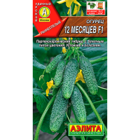 Огурец 12 месяцев F1