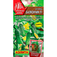 Огурец Балкончик  Аэлита