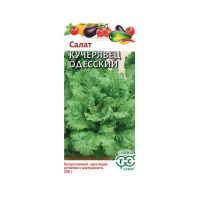 Га031602 Салат Кучерявец Одесский 0,5 г хрустящий