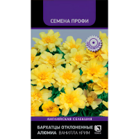 Бархатцы отклоненные Алюмиа Ванилла Крим (Семена Профи) (ЦВ) (1) 10шт