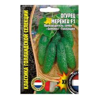 02Гр3028 Огурец Меренга F1  5шт. NDS