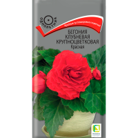 Бегония клубневая крупноцветковая Красная (ЦВ) (1) 5шт