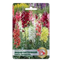 02Би3180 Антирринум Мадам Баттерфляй смесь расцветок (махровый)