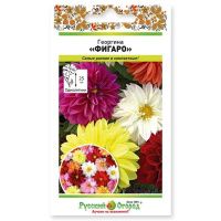 02Ру3910 Георгина Фигаро, смесь (0,2г)