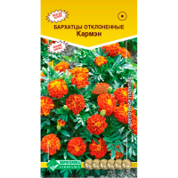 Бархатцы КАРМЕН отклоненные  (0,3 гр)