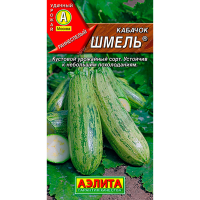 Кабачок цуккини Шмель