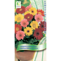 Гербера Джемсона Гибрид смесь окрасок (ЦВ) (К) 10шт