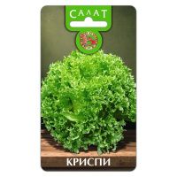 02Би2899 Салат Криспи NDS 02Би2899 Салат Криспи NDS