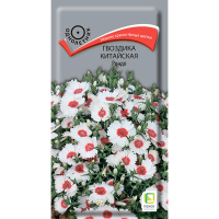 Гвоздика Китайская Рондо (ЦВ) (1) 0,1гр