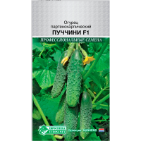 Огурец партенокарпик ПУЧЧИНИ F1 (8 шт)