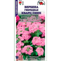 Вербена Кварц Пинк