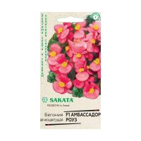 Га015524 Бегония Амбассадор Роуз F1 вечноцв. 4 шт. гранул. пробирка Саката серия Элитная клумба Н21