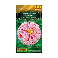 02Аэ1531  Цинния Поп арт вайт ред страйпс