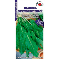 Щавель Крупнолистный цветной