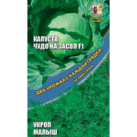 Капуста белокочанная Чудо на засол F1 + Укроп Малыш (ДУ)