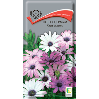 Остеоспермум Смесь окрасок (ЦВ) (1) 0,1гр