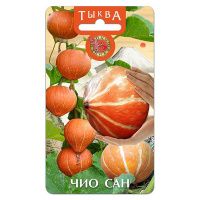 02Би3161 Тыква  Чио Сан NDS