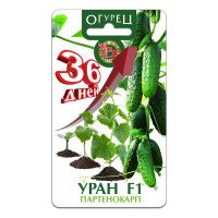02Би2926 Огурец  Уран F1 NDS