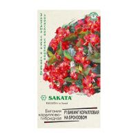 Га031317 Бегония Викинг коралловая на бронзовом F1,гибрид. гранул. 4 шт. проб. Саката сер. Элитная клумба Н21