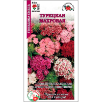 Гвоздика Турецкая махровая смесь