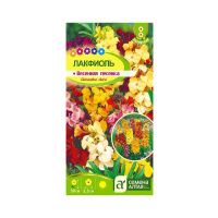 02Се2845 Цветы Лакфиоль Весенняя песенка