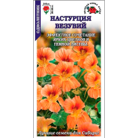 Настурция Везувий