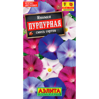 Ипомея Пурпурная