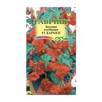 Га031320 Бегония Кармен F1 клубневая, амп. гранул. 4 шт. пробирка