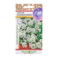 02Ру3861 Алиссум Ванильное облако (0,1г)