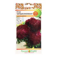 02Ру3881 Астра Черный бриллиант (50шт)