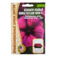 02Гр2998 Катарантус Tattoo Black Cherry F1  5шт NDS