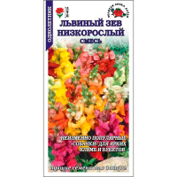 Львиный зев Низкорослый смесь