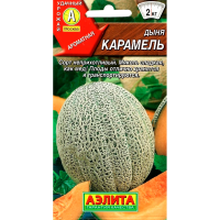 Дыня Карамель