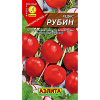 Редис Рубин