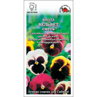 Виола Вельвет