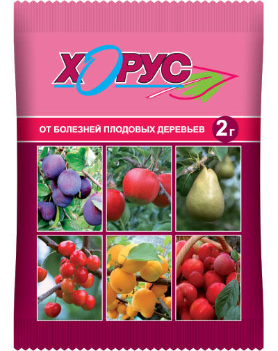 v8_24C0_353ec