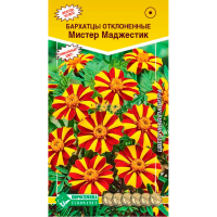 Бархатцы МИСТЕР МАДЖЕСТИК, отклоненные (20 шт)