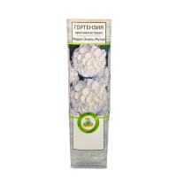 Гортензия крупнолистовая Мадам Эмиль Мулье