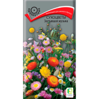 Сухоцветы Застывшая музыка (ЦВ) (1) 0,3гр